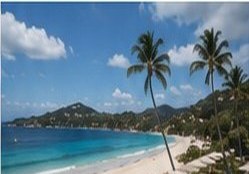 Palm beach in Anguilla